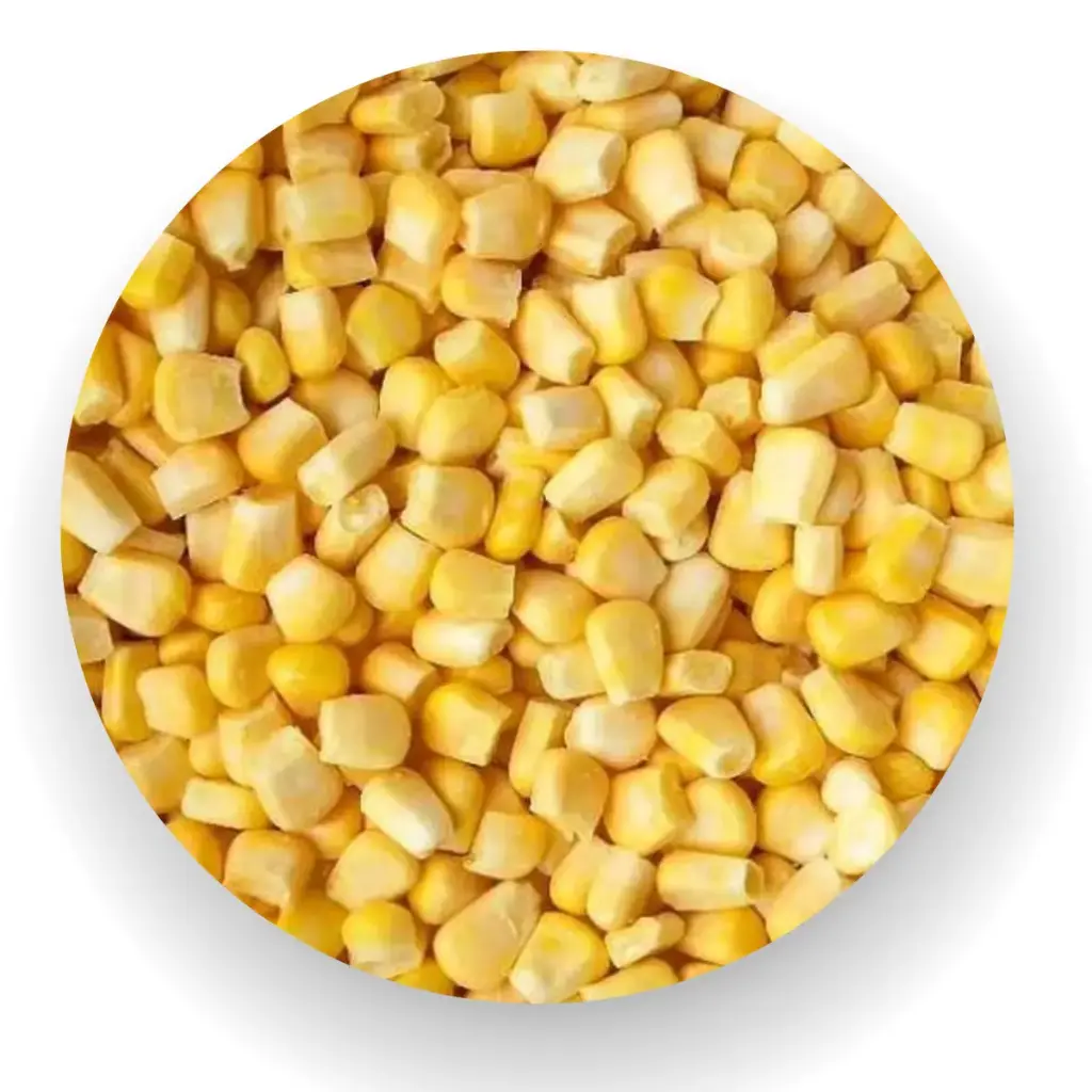 Corn Kernel